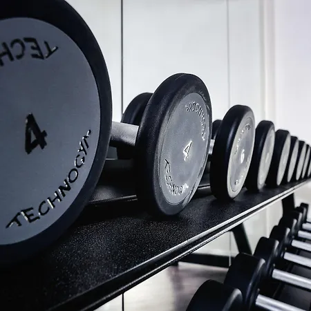 Vorfelder Walldorf (Baden-Wurttemberg)